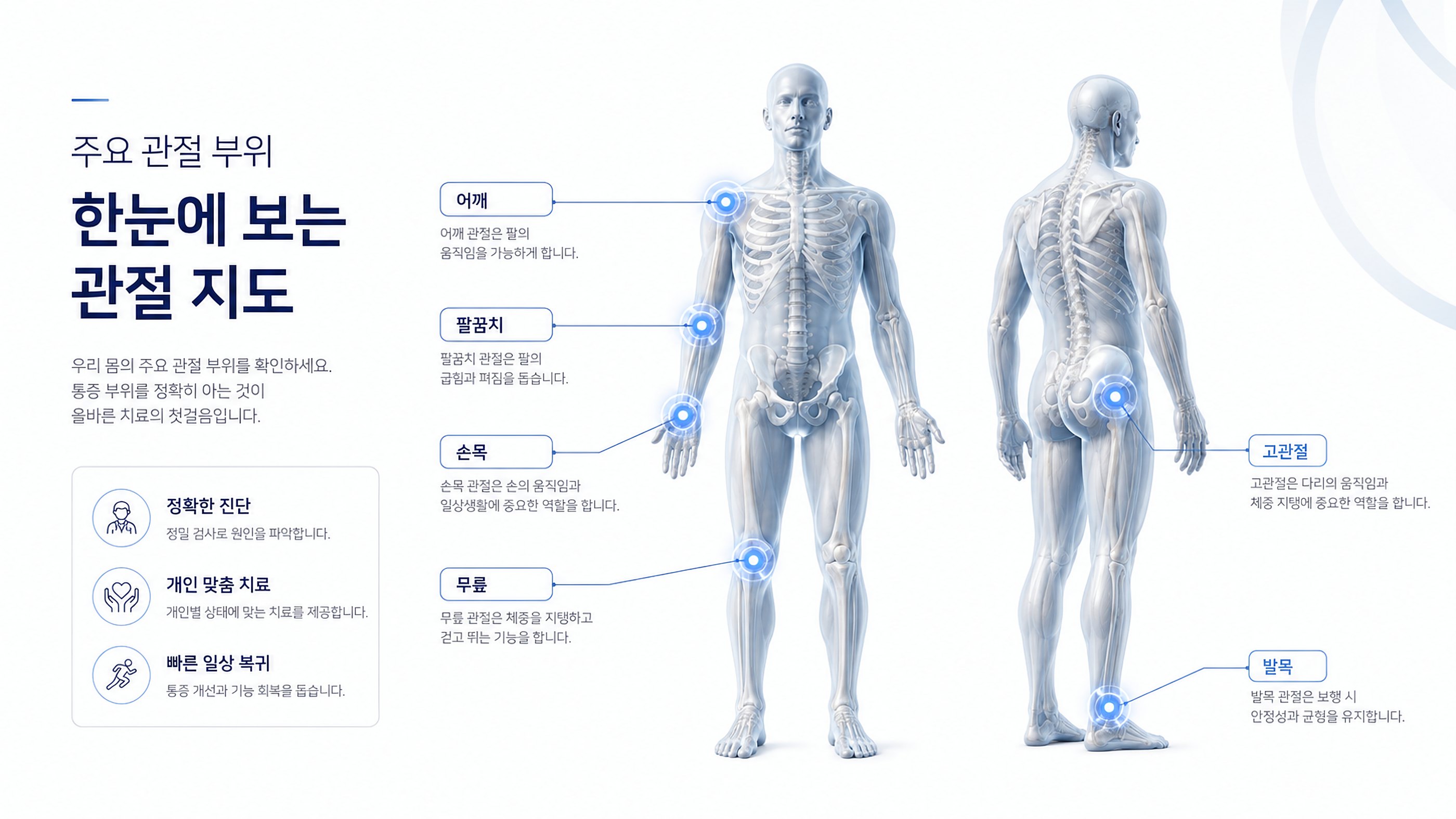 전신 관절 맵: 어깨, 팔꿈치, 손목, 고관절, 무릎, 발목 표시